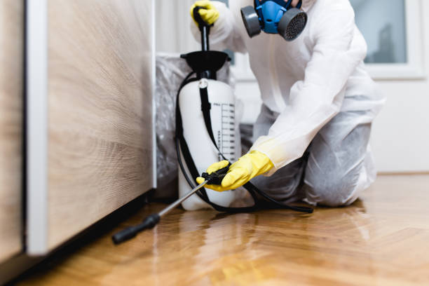 Best Rat Extermination Near Me  in Rlborough, MA