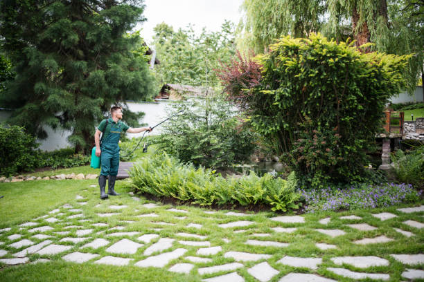 Best Local Pest Control Services  in Rlborough, MA