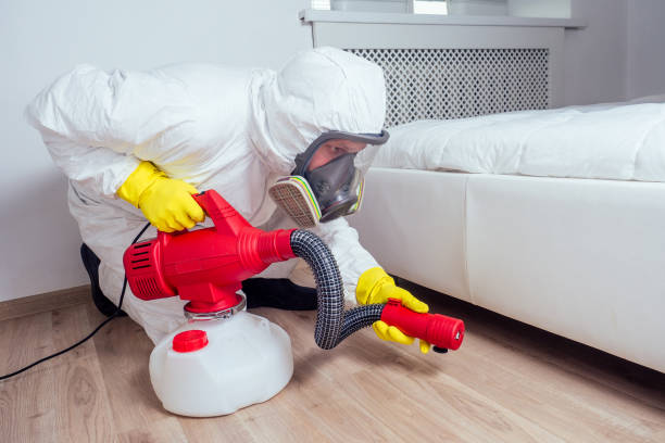 Best Wildlife Control Services  in Rlborough, MA