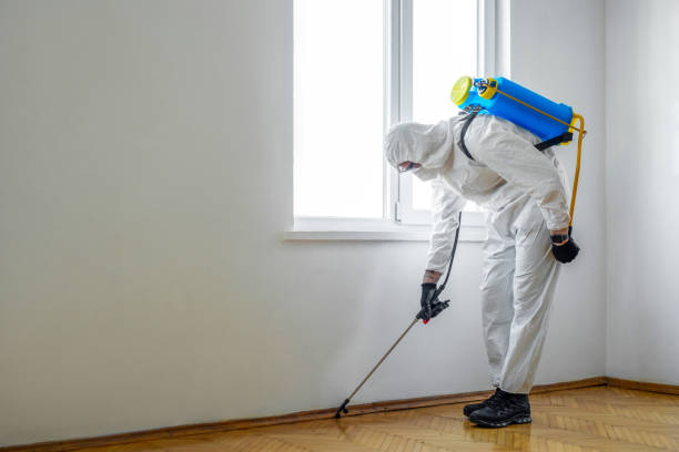 Best Pest Prevention Services  in Rlborough, MA