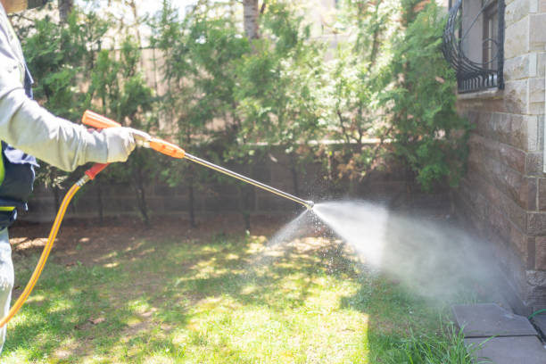 Wasp Removal Services in Marlborough, MA