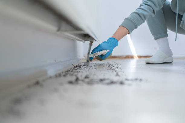 Best Wildlife Control Services  in Rlborough, MA